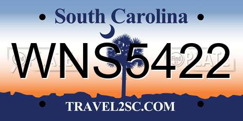 WNS5422 South Carolina License Plate