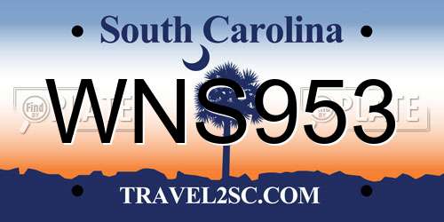 WNS953 South Carolina License Plate
