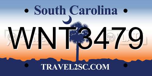 WNT3479 South Carolina License Plate
