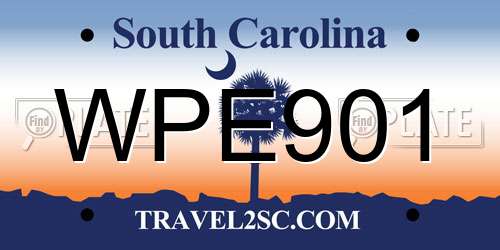 WPE901 South Carolina License Plate