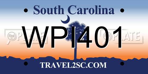 WPI401 South Carolina License Plate