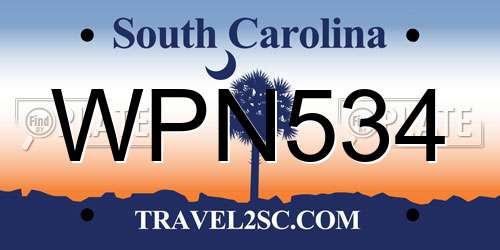 WPN534 South Carolina License Plate