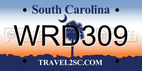 WRD309 South Carolina License Plate