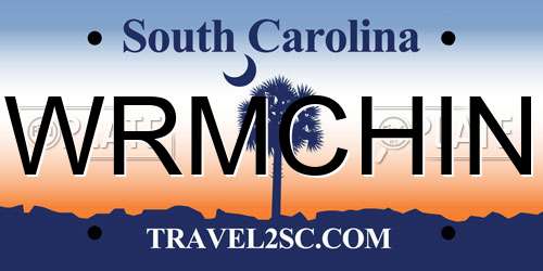 WRMCHIN South Carolina License Plate
