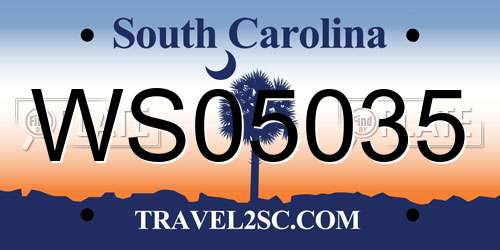 WS05035 South Carolina License Plate