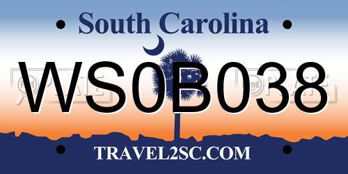 WS0B038 South Carolina License Plate