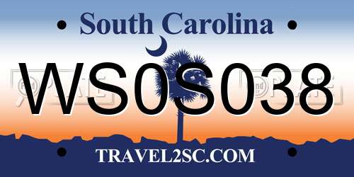 WS0S038 South Carolina License Plate