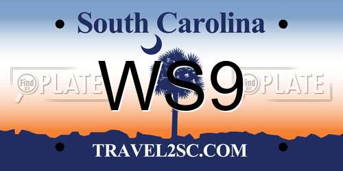 WS9 South Carolina License Plate