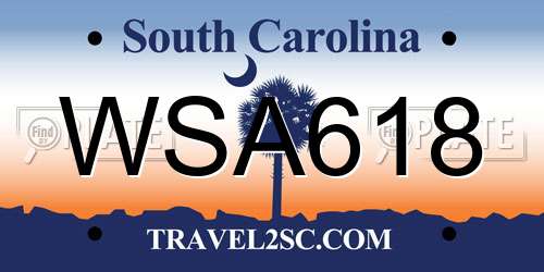 WSA618 South Carolina License Plate
