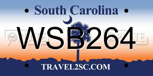 WSB264 South Carolina License Plate