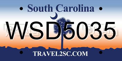 WSD5035 South Carolina License Plate