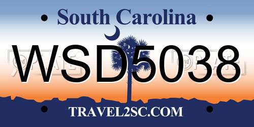 WSD5038 South Carolina License Plate