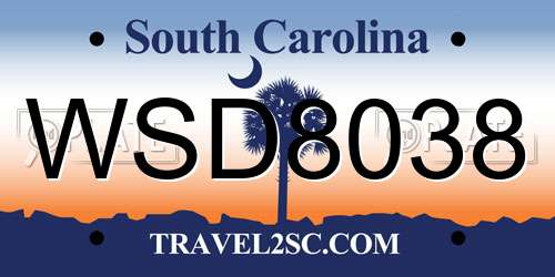 WSD8038 South Carolina License Plate