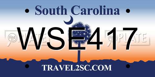 WSE417 South Carolina License Plate