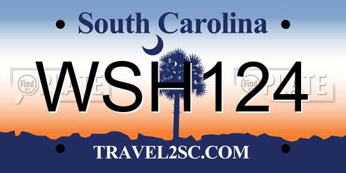 WSH124 South Carolina License Plate