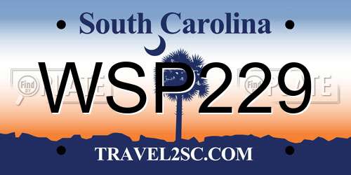 WSP229 South Carolina License Plate
