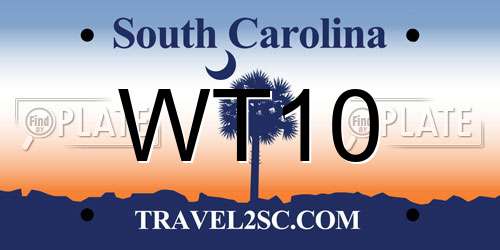 WT10 South Carolina License Plate