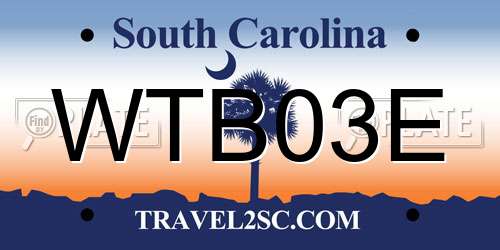 WTB03E South Carolina License Plate
