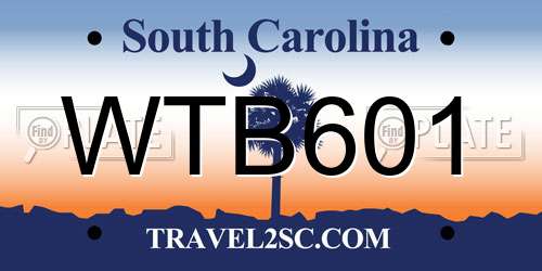 WTB601 South Carolina License Plate