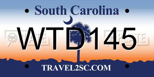 WTD145 South Carolina License Plate