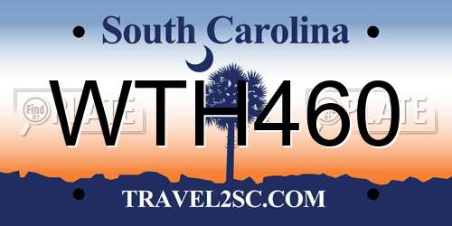 WTH460 South Carolina License Plate