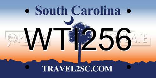 WTI256 South Carolina License Plate