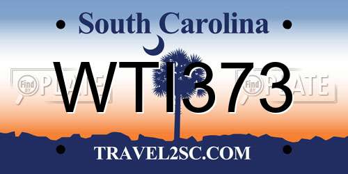 WTI373 South Carolina License Plate
