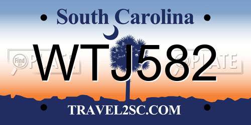 WTJ582 South Carolina License Plate