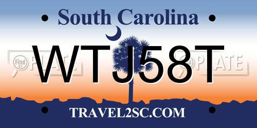 WTJ58T South Carolina License Plate