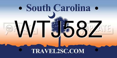 WTJ58Z South Carolina License Plate