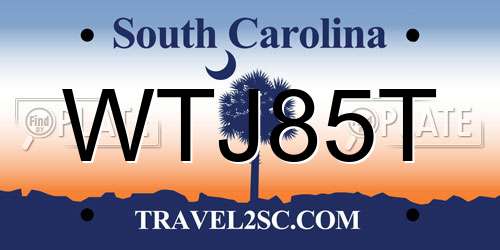 WTJ85T South Carolina License Plate