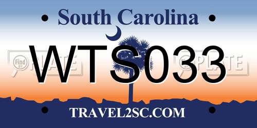 WTS033 South Carolina License Plate