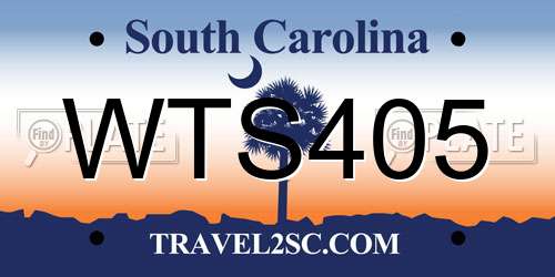 WTS405 South Carolina License Plate