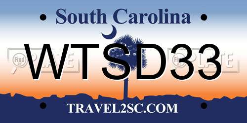 WTSD33 South Carolina License Plate