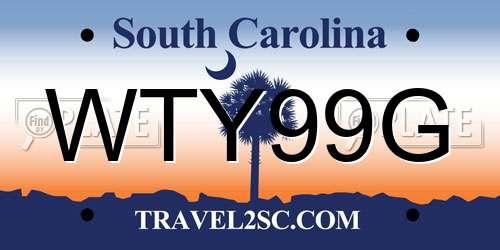 WTY99G South Carolina License Plate