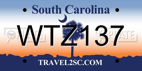 WTZ137 South Carolina License Plate
