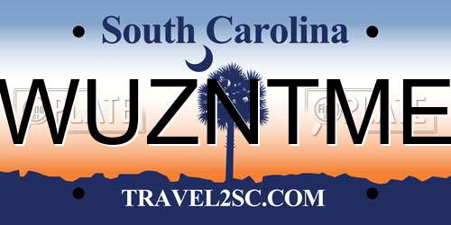 WUZNTME South Carolina License Plate