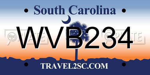 WVB234 South Carolina License Plate