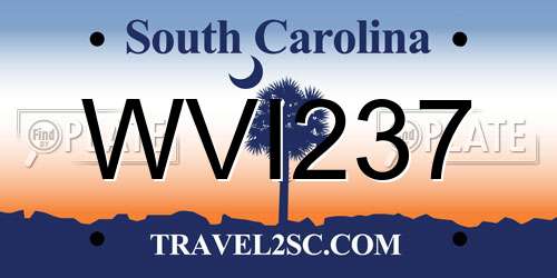 WVI237 South Carolina License Plate