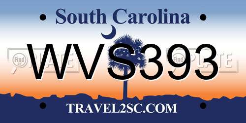 WVS393 South Carolina License Plate