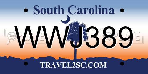 WWJ389 South Carolina License Plate