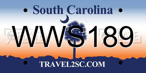 WWS189 South Carolina License Plate