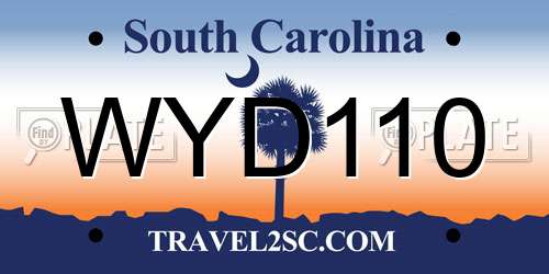 WYD110 South Carolina License Plate