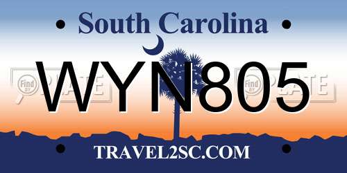 WYN805 South Carolina License Plate