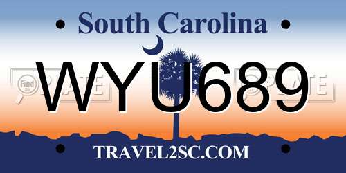 WYU689 South Carolina License Plate