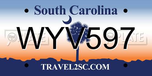 WYV597 South Carolina License Plate