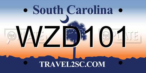 WZD101 South Carolina License Plate