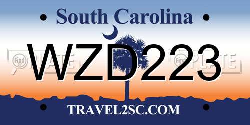 WZD223 South Carolina License Plate
