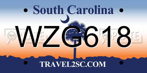 WZG618 South Carolina License Plate