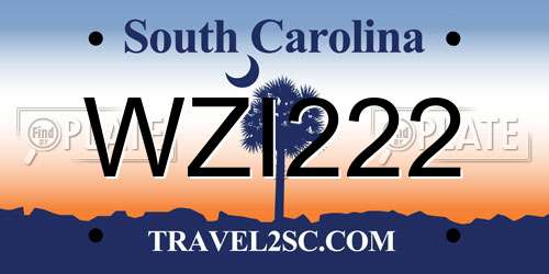 WZI222 South Carolina License Plate